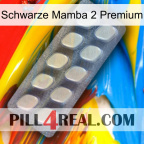 Black Mamba 2 Premium 08